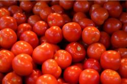 Разнообразный выбор томатов!
